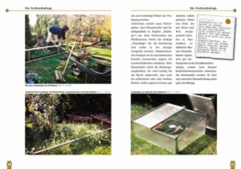 Preview: Die Griechische Landschildkröte
